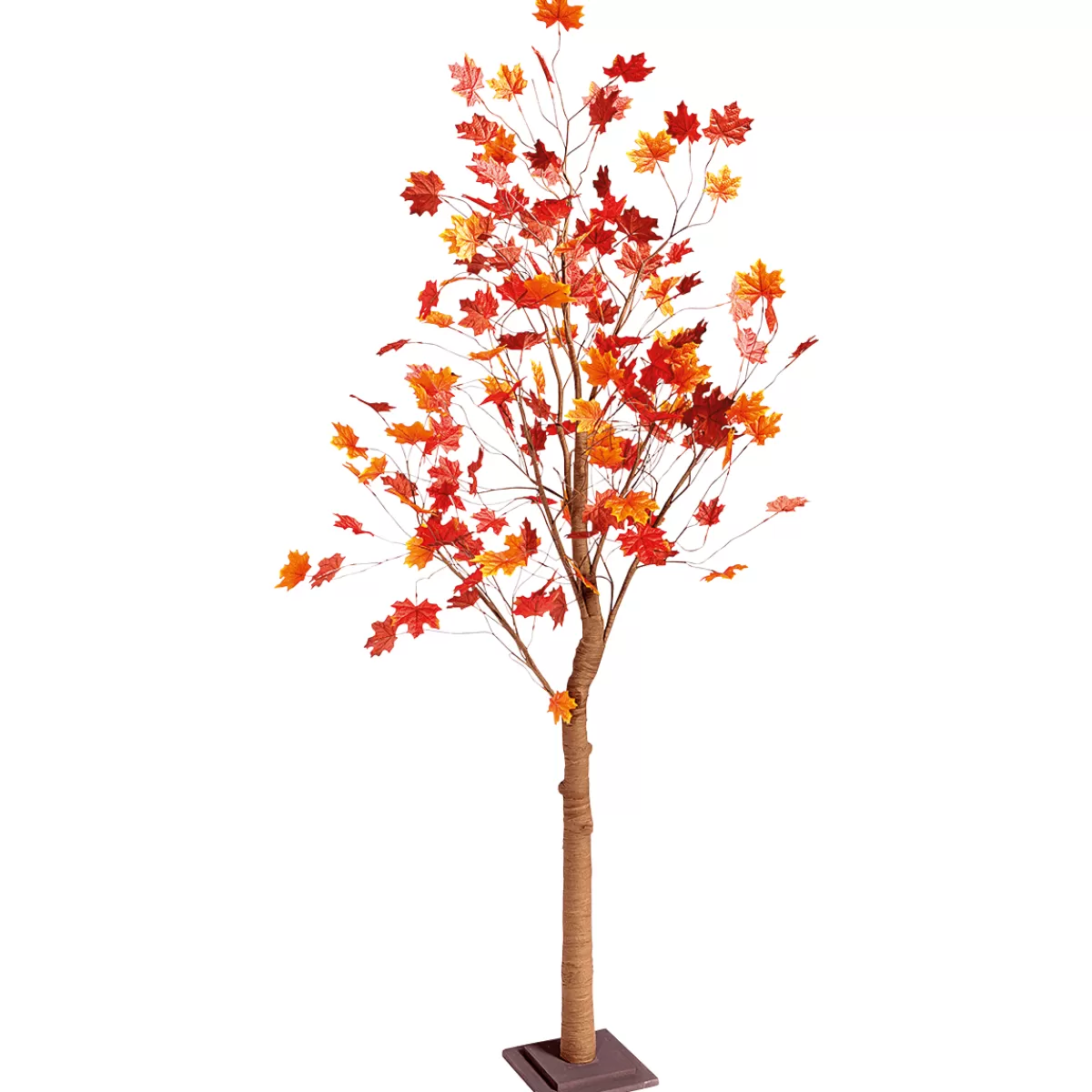 Shop DecoWoerner Ahornbaum, 200 Cm orange