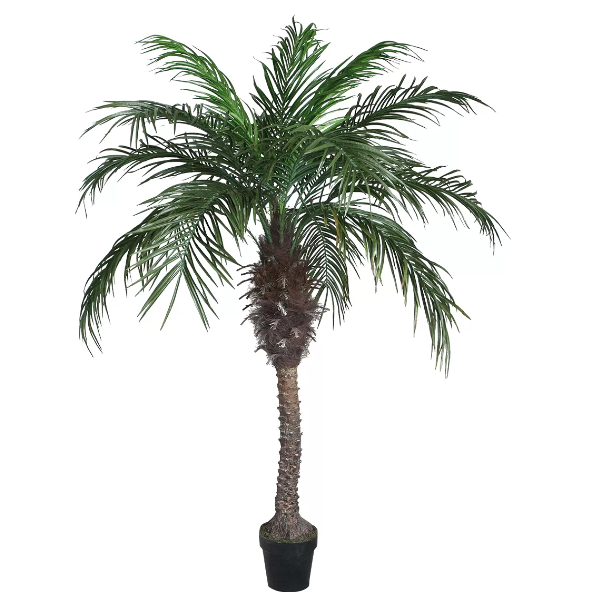 Outlet DecoWoerner Areca Kunstpalme 210 Cm grün