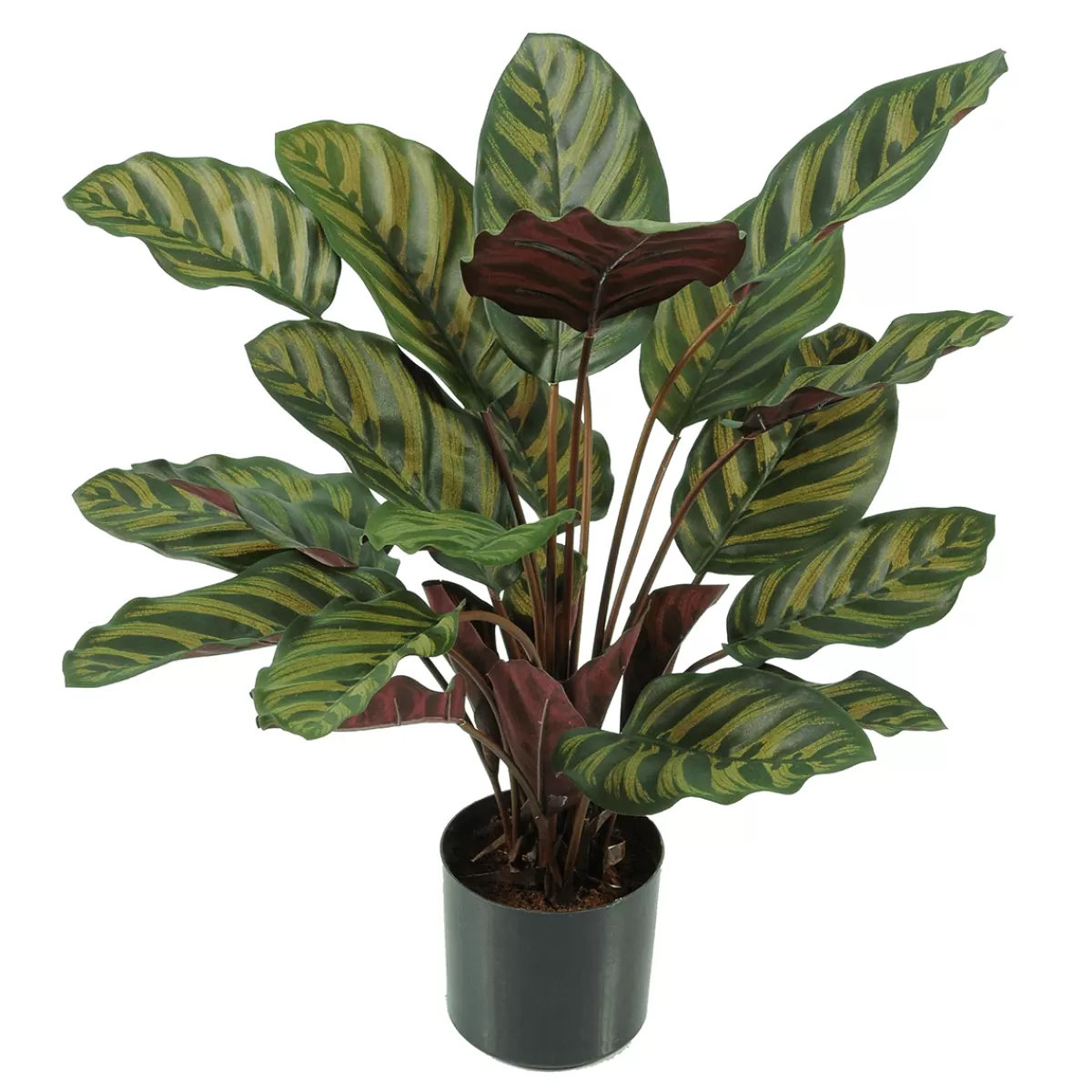 Best Sale DecoWoerner Calathea Kunstpflanze Im Topf Schwer Entflammbar B1 grün