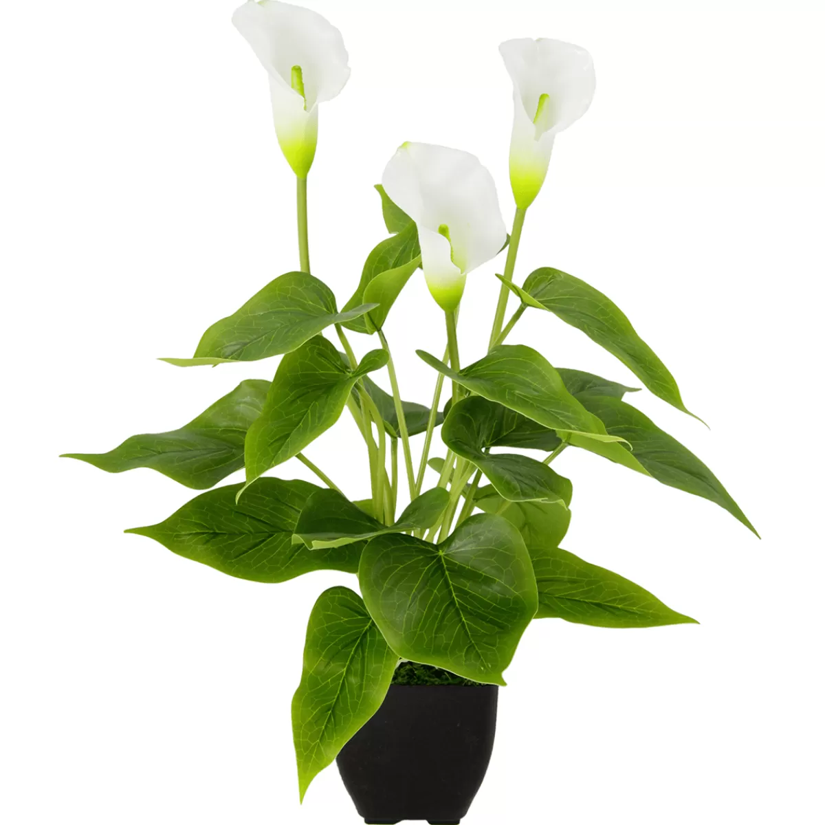 Outlet DecoWoerner Calla Kunstpflanze 40 Cm Im Topf weiß