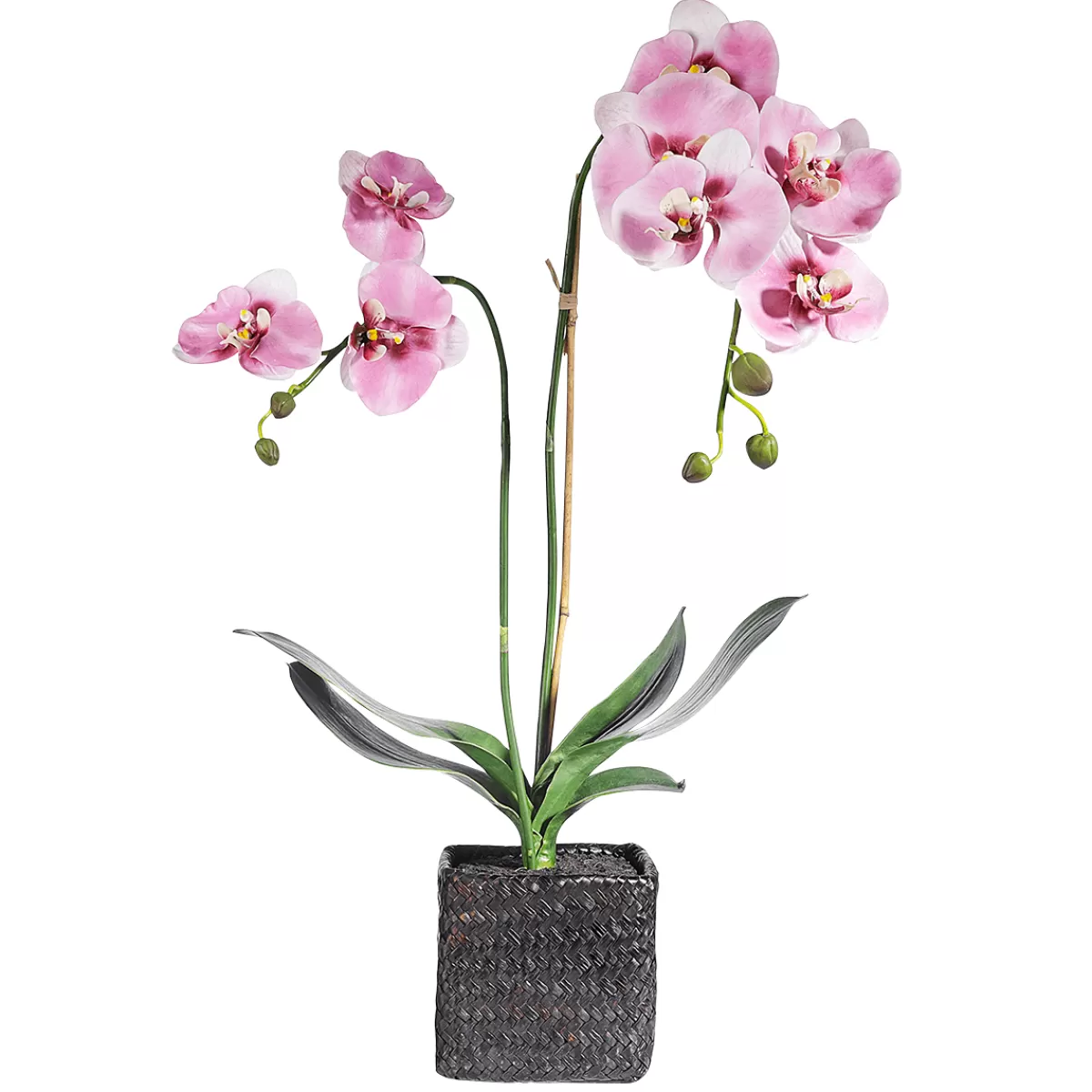 Store DecoWoerner Deko Orchidee Im Topf 80 Cm rosa