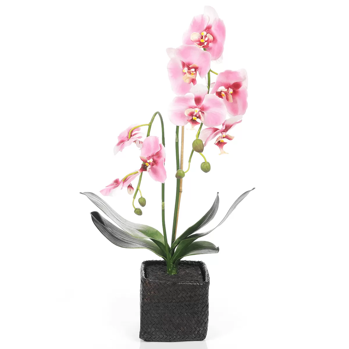 Store DecoWoerner Deko Orchidee Im Topf 80 Cm rosa