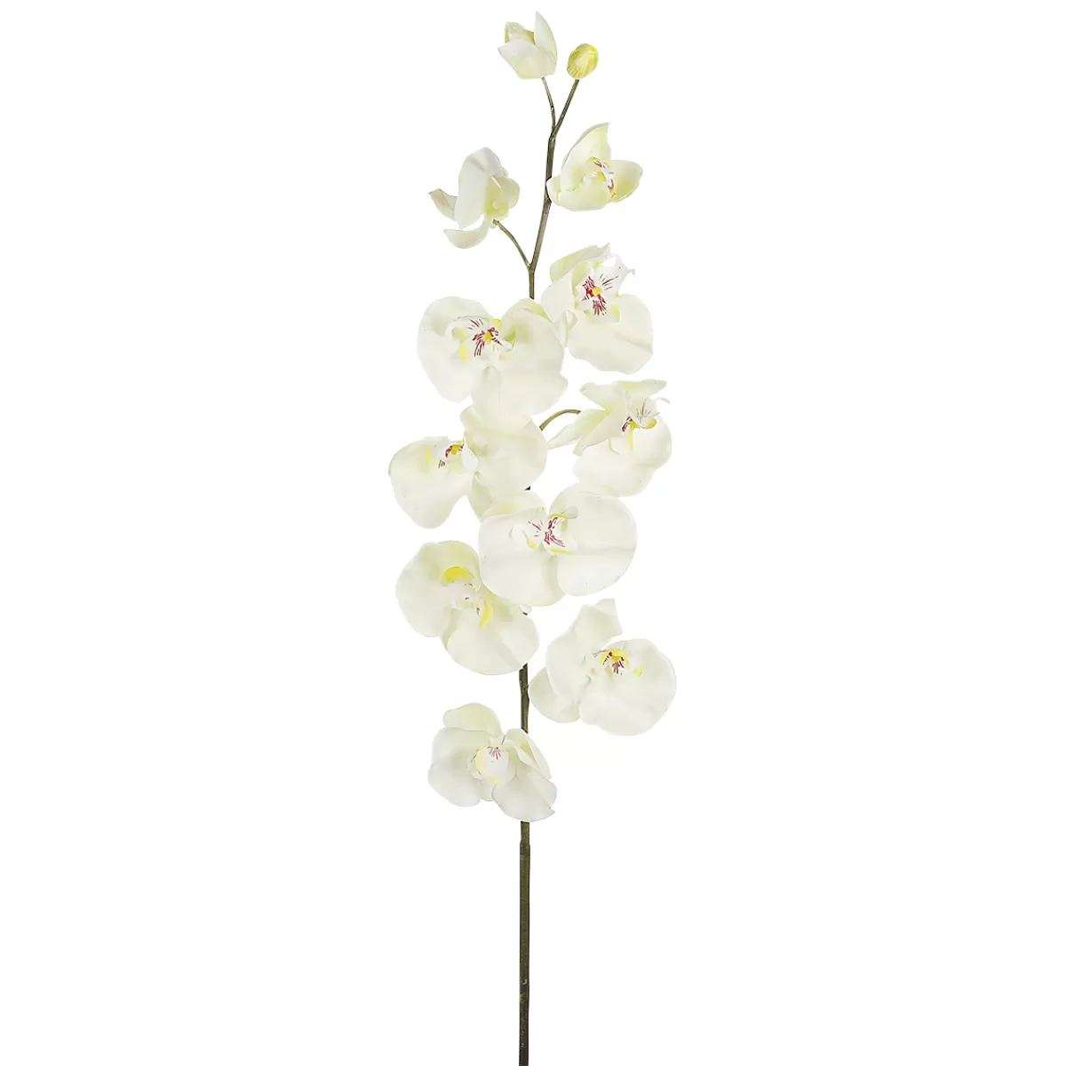 Sale DecoWoerner Deko Orchideenzweig 110 Cm weiß