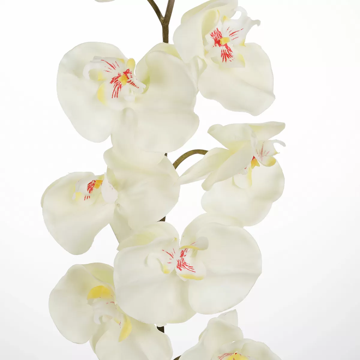 Sale DecoWoerner Deko Orchideenzweig 110 Cm weiß