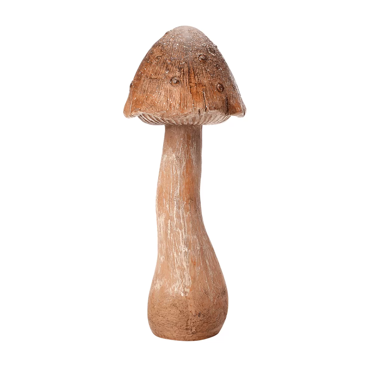 Cheap DecoWoerner Deko Pilz 20 Cm braun