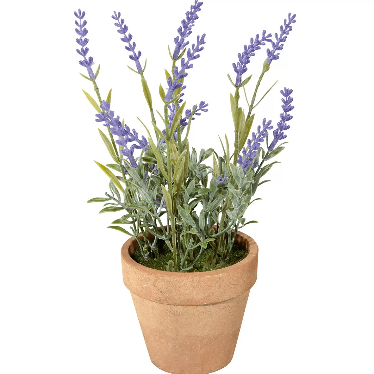 Sale DecoWoerner Deko-Lavendel Im Topf, 22 Cm violett