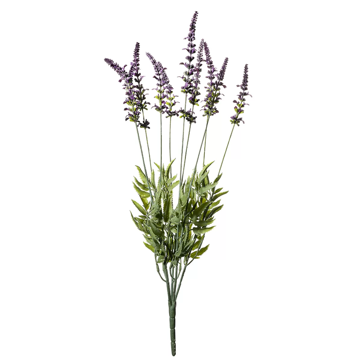 Best DecoWoerner Deko-Lavendel-Grasbündel 55 Cm violett