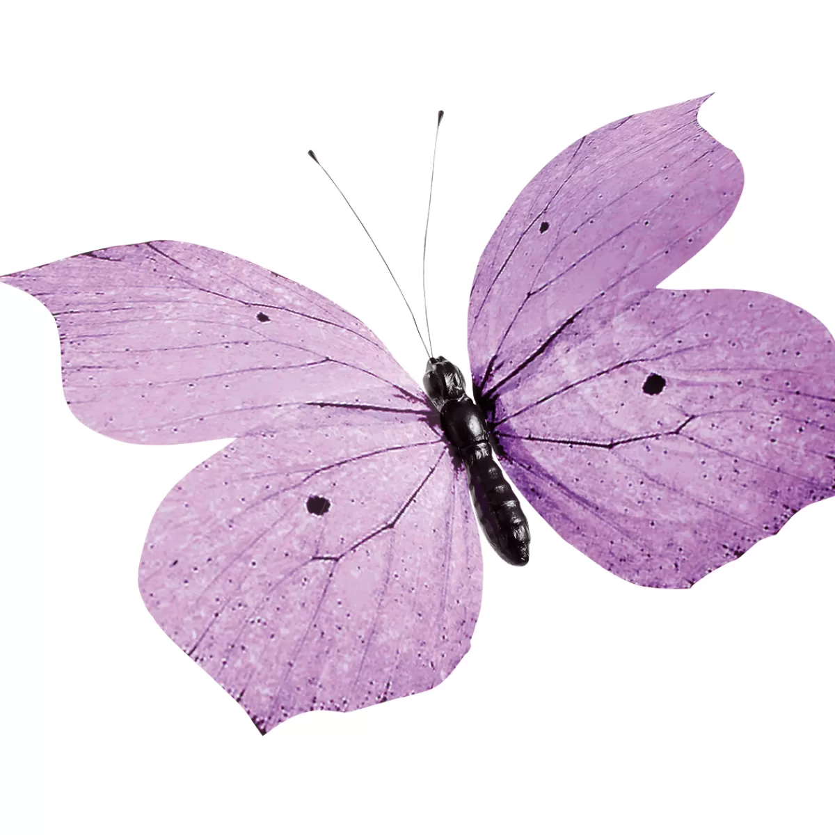 Flash Sale DecoWoerner Deko-Schmetterling Lila, 80 Cm violett