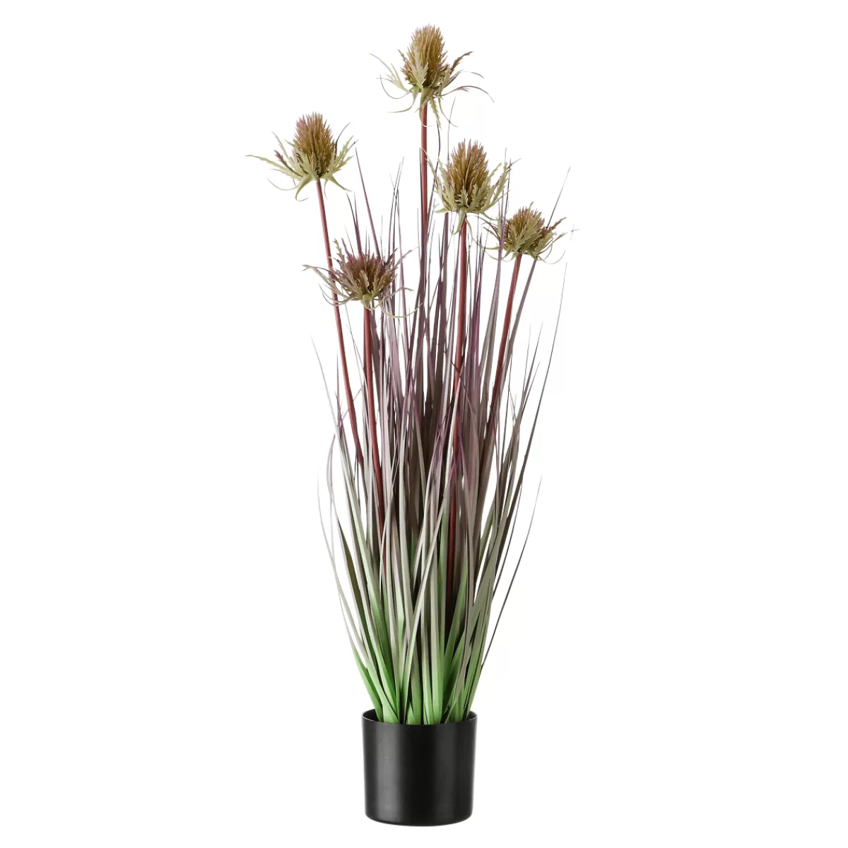 Flash Sale DecoWoerner Distel-Kunstgras Im Schwarzen Topf 69 Cm grün