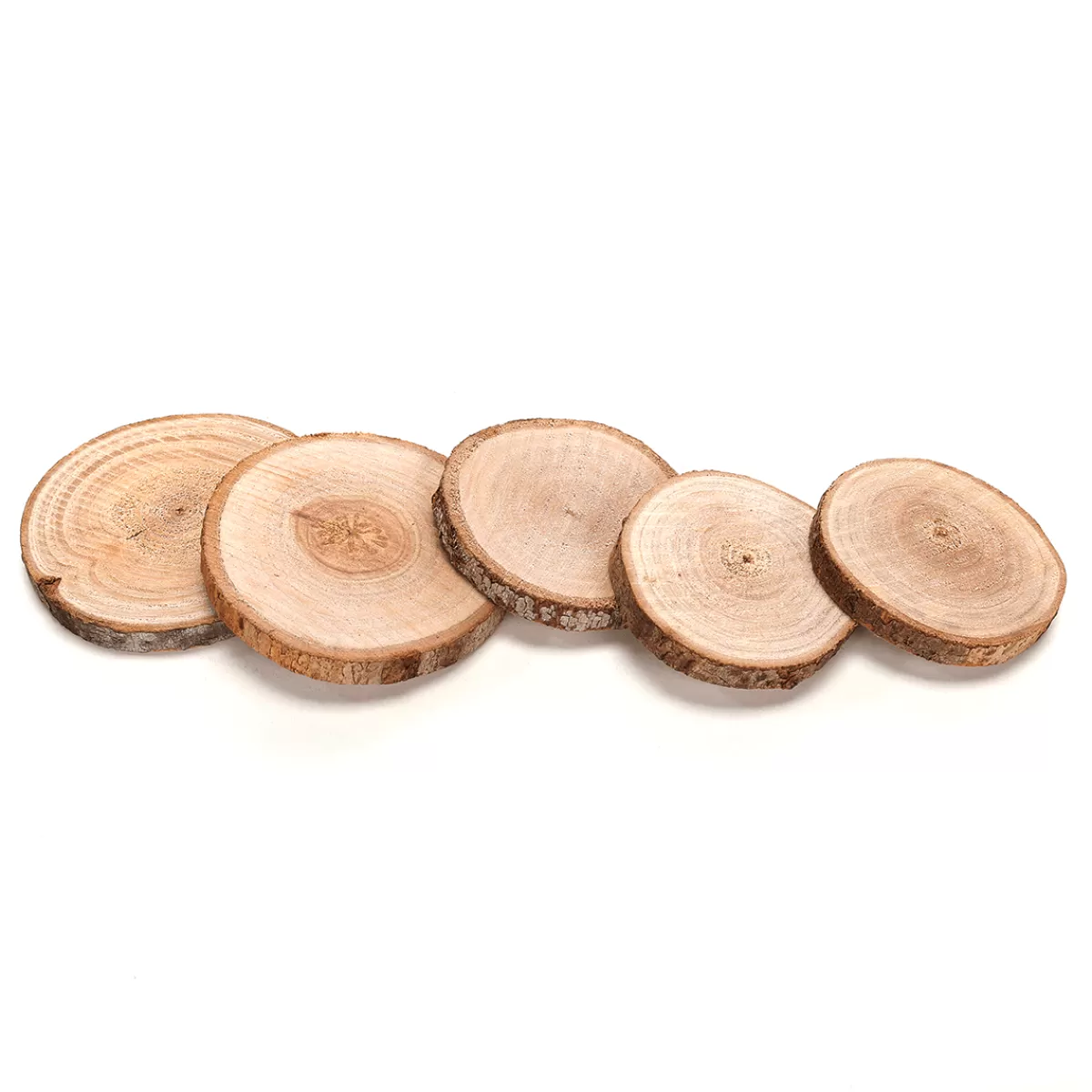 Hot DecoWoerner Echte Holzscheiben 5 - 7 Cm, 25 Stück Naturholz