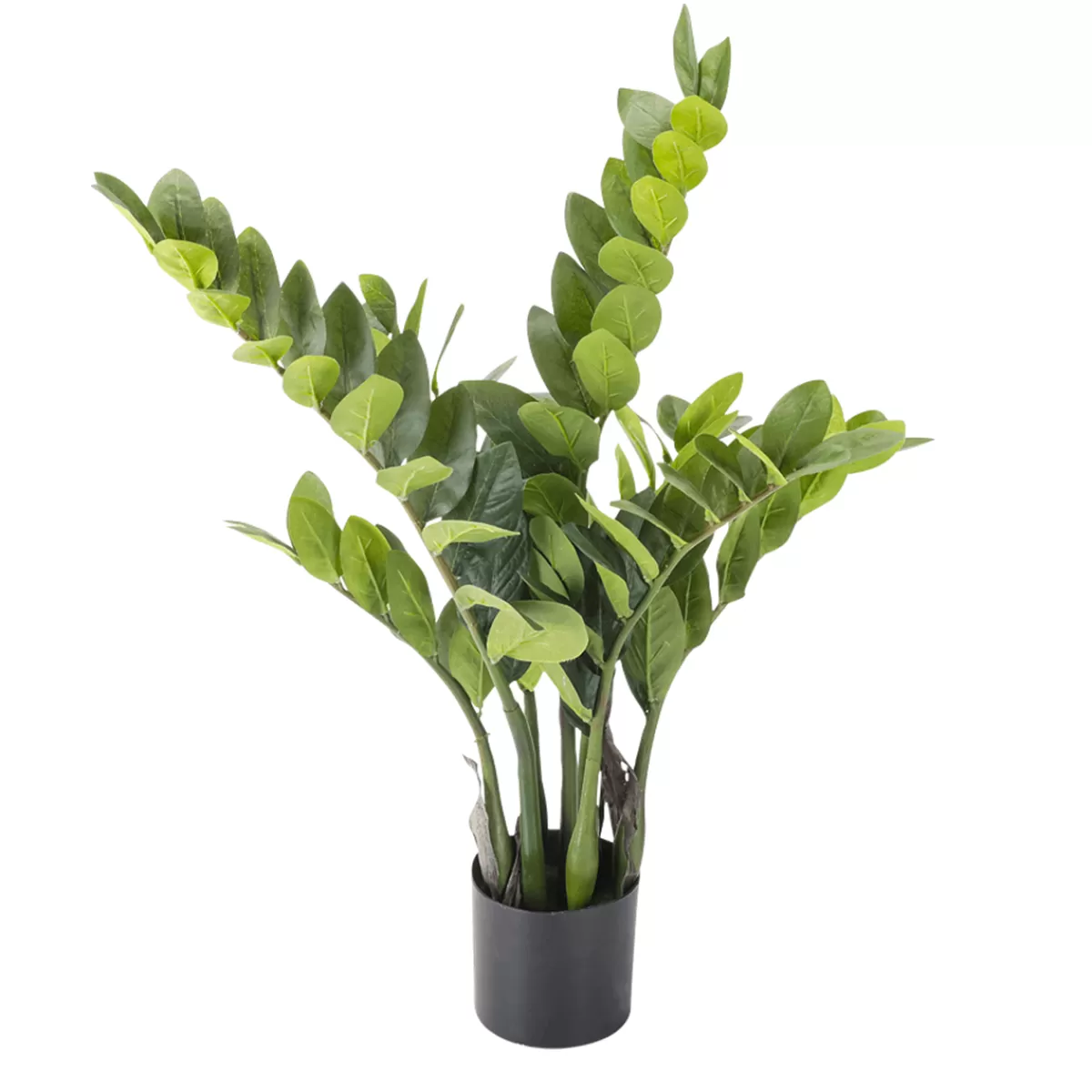 Discount DecoWoerner Glücksfeder Zamioculcas Kunstpflanze Im Topf 70 Cm grün