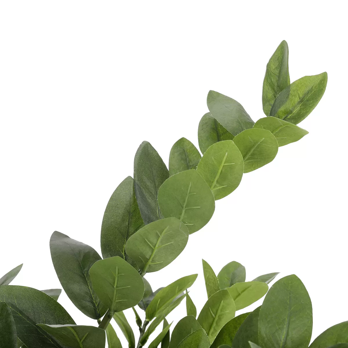 Discount DecoWoerner Glücksfeder Zamioculcas Kunstpflanze Im Topf 70 Cm grün