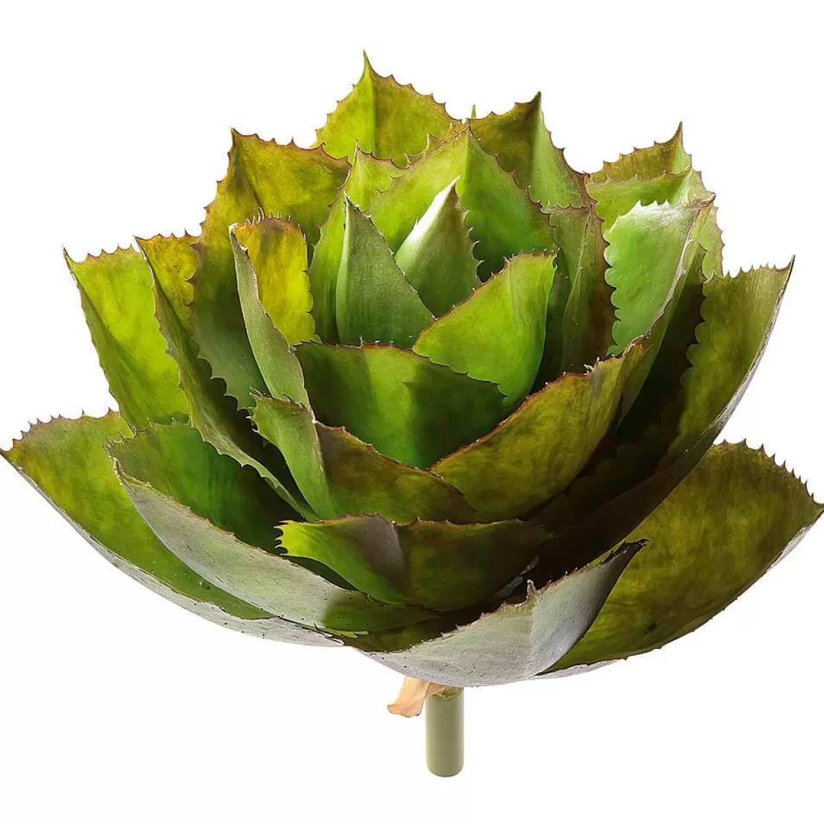 Outlet DecoWoerner Künstliche Agave Parryi Ohne Topf, 38 Cm Ø grün