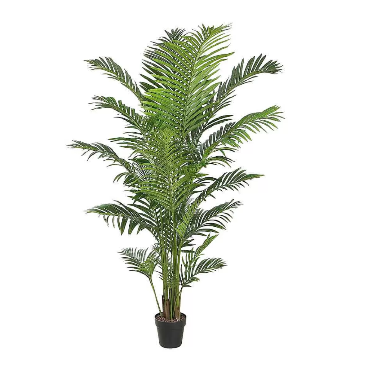 Online DecoWoerner Künstliche Areca Palme 190 Cm grün