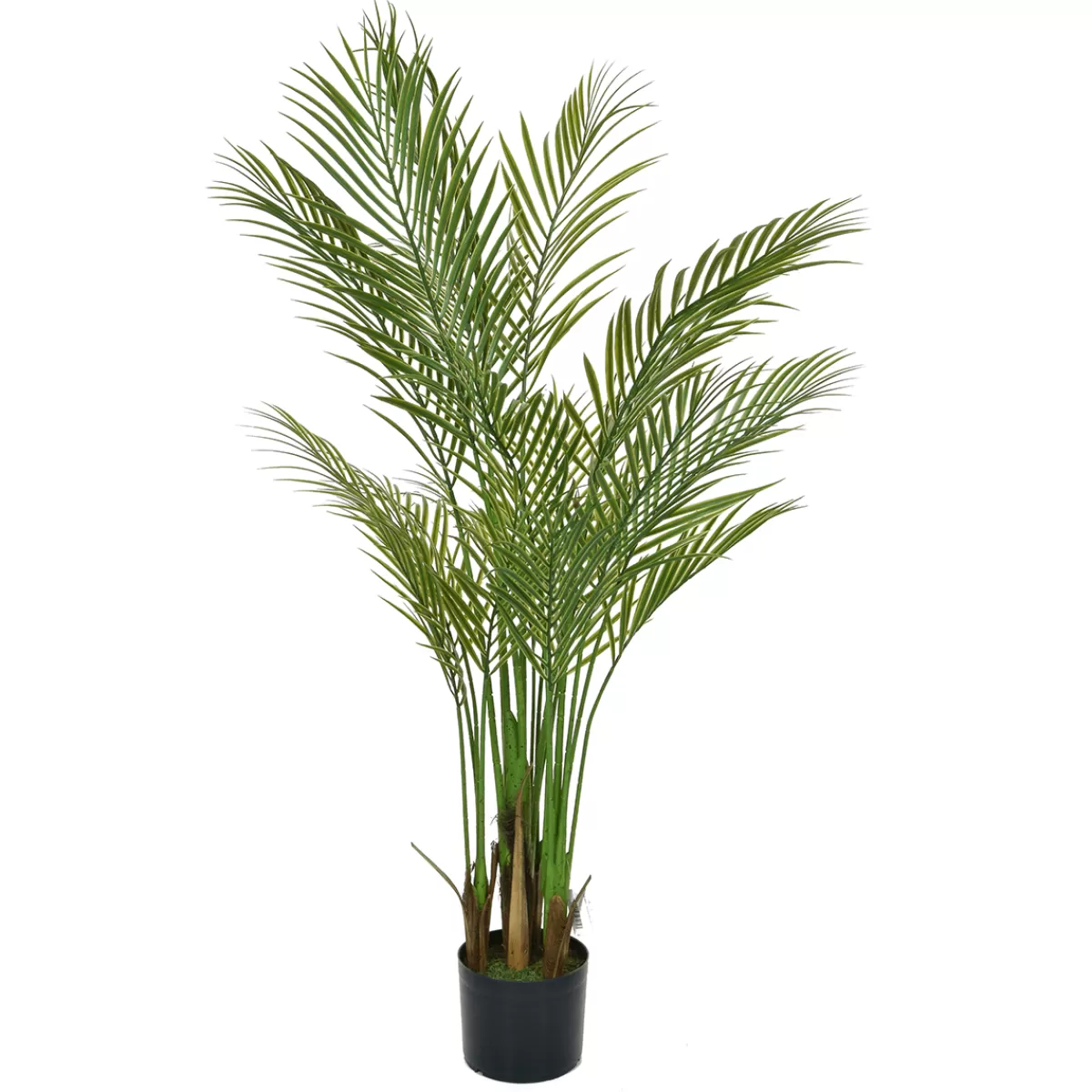 Clearance DecoWoerner Künstliche Areca Palmen Im Topf B1, 150 Cm grün