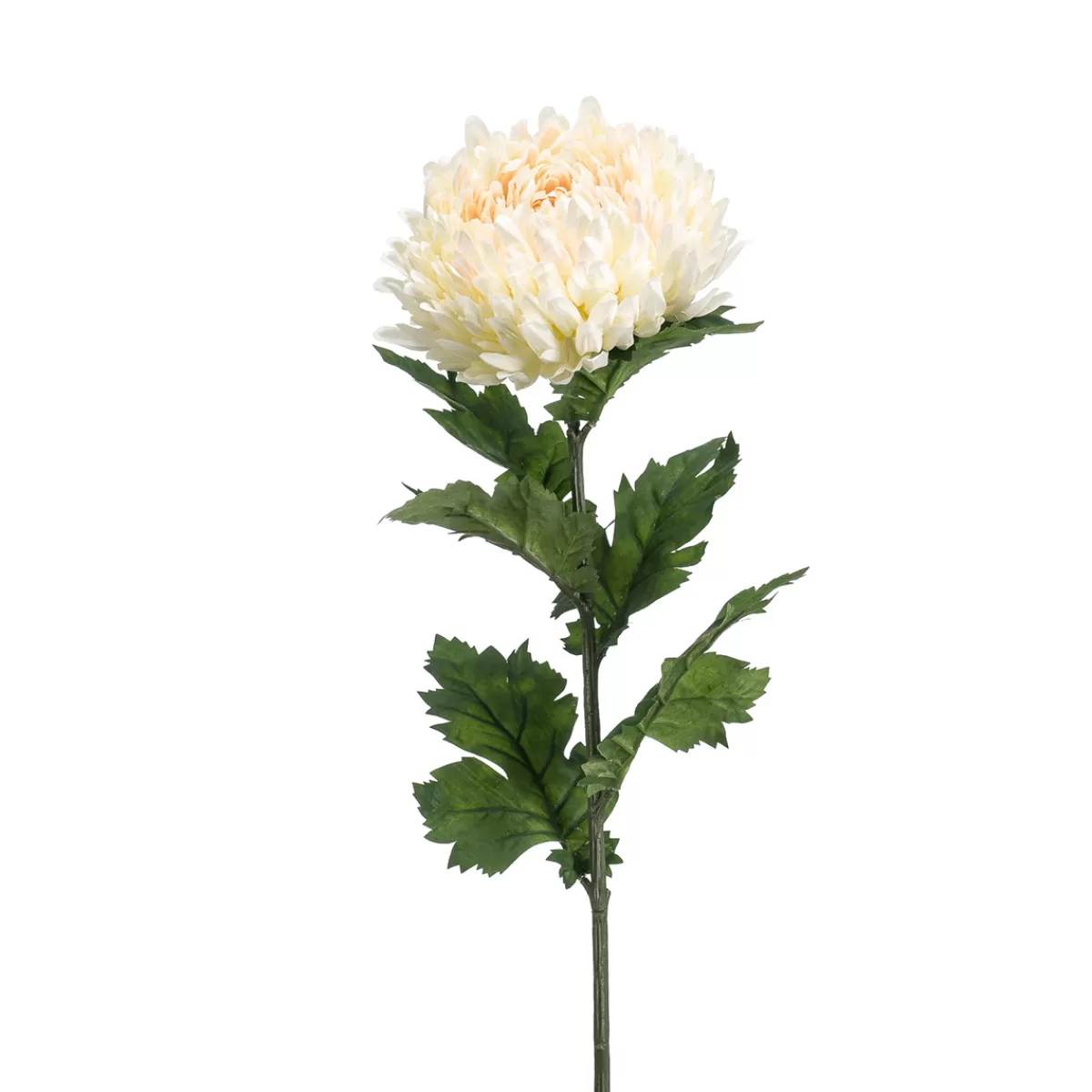 Outlet DecoWoerner Künstliche Chrysantheme, , 75 Cm weiß