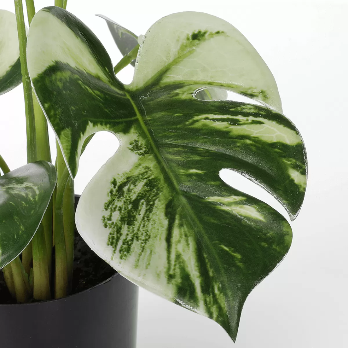 Clearance DecoWoerner Künstliche Deko Monstera Topfpflanze Deliciosa Albo Variegata 37 Cm grün