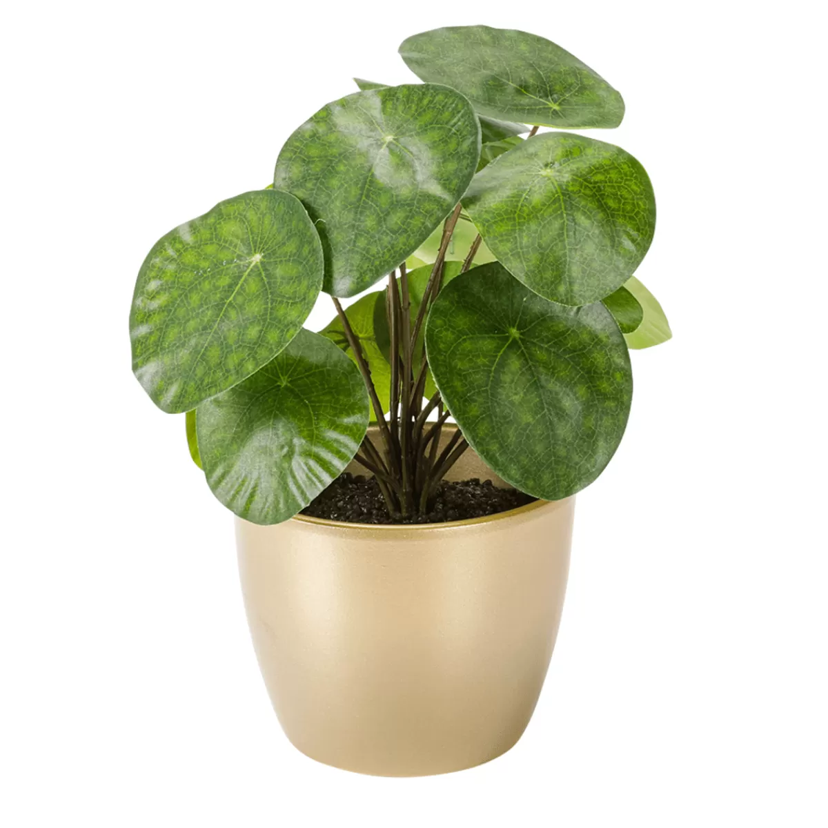 Clearance DecoWoerner Künstliche Deko Pilea Im Topf Pfannkuchenpflanze 25 Cm grün