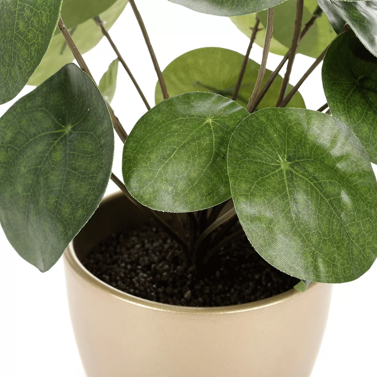 Clearance DecoWoerner Künstliche Deko Pilea Im Topf Pfannkuchenpflanze 25 Cm grün