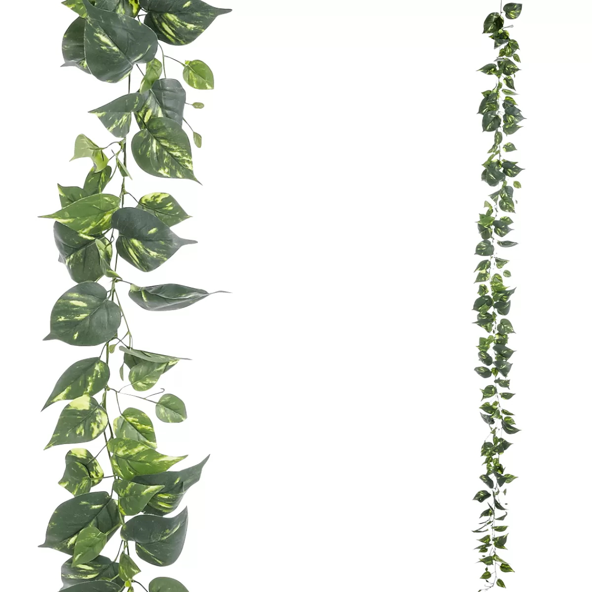 Cheap DecoWoerner Künstliche Deko Pothos Girlande 220 Cm grün