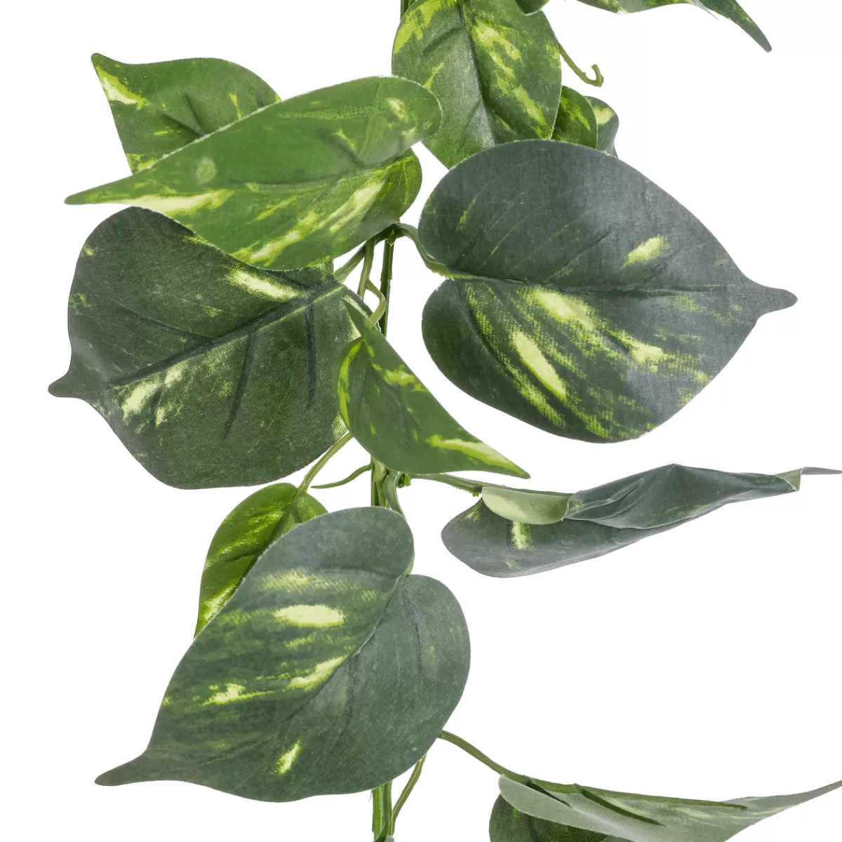 Cheap DecoWoerner Künstliche Deko Pothos Girlande 220 Cm grün