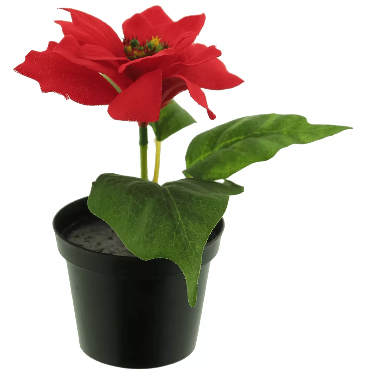 Hot DecoWoerner Künstliche Poinsettie Im Topf 15 Cm rot