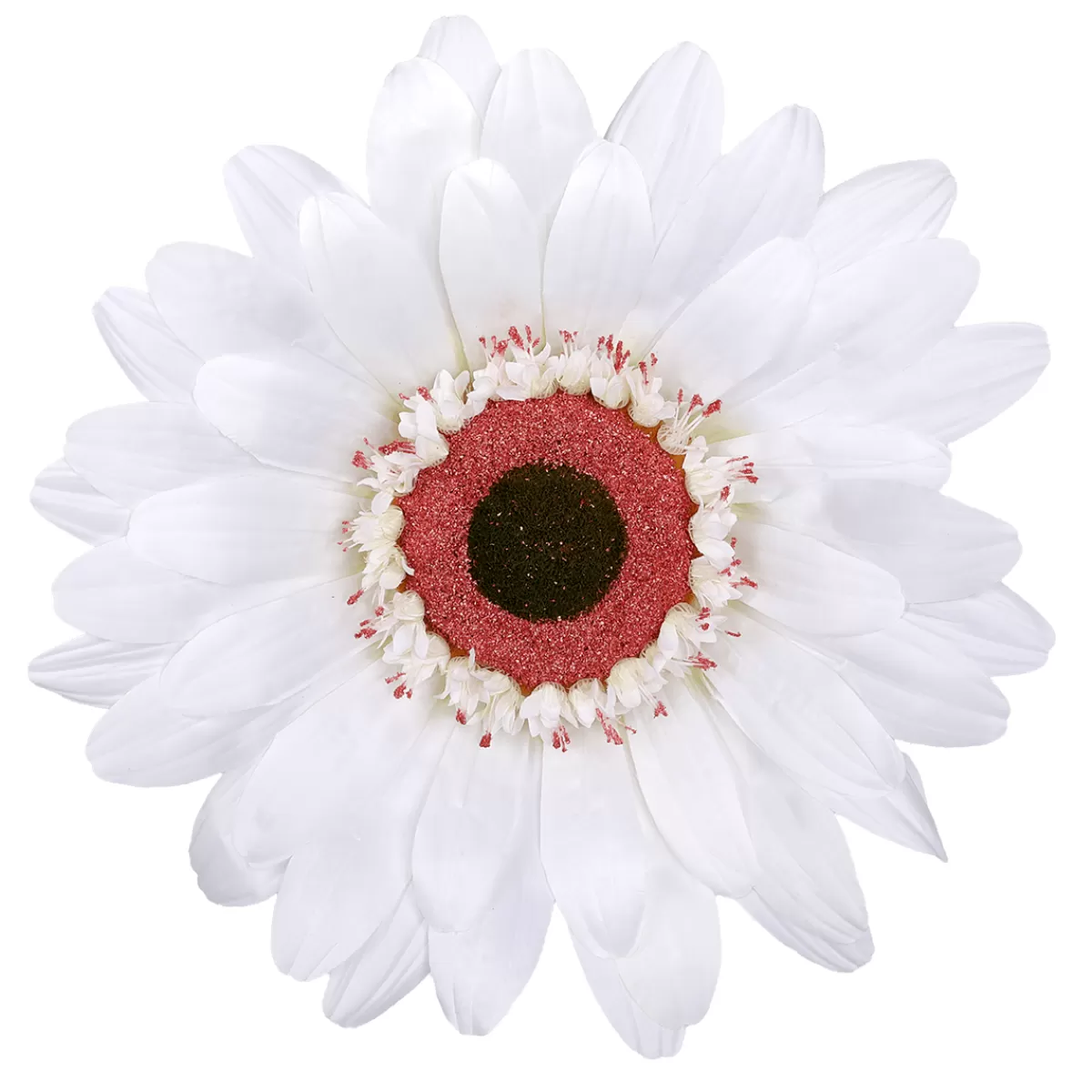 Sale DecoWoerner Künstliche Riesen-Gerbera-Blüte , 45 Cm Ø weiß