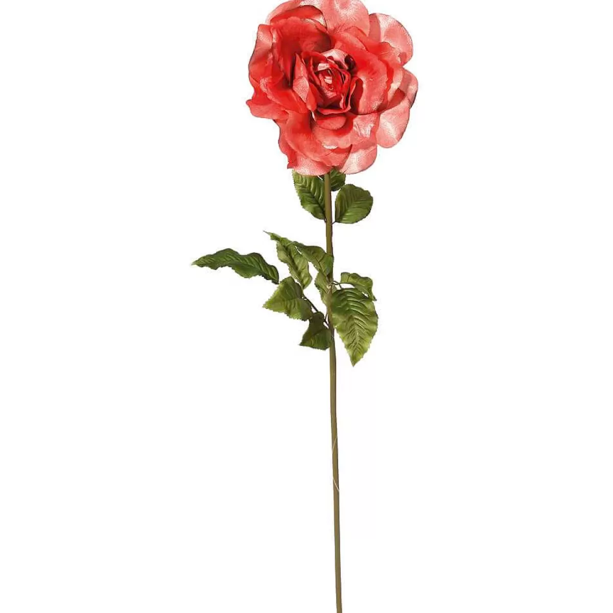 Flash Sale DecoWoerner Künstliche Rose, Apricot 116 Cm rot