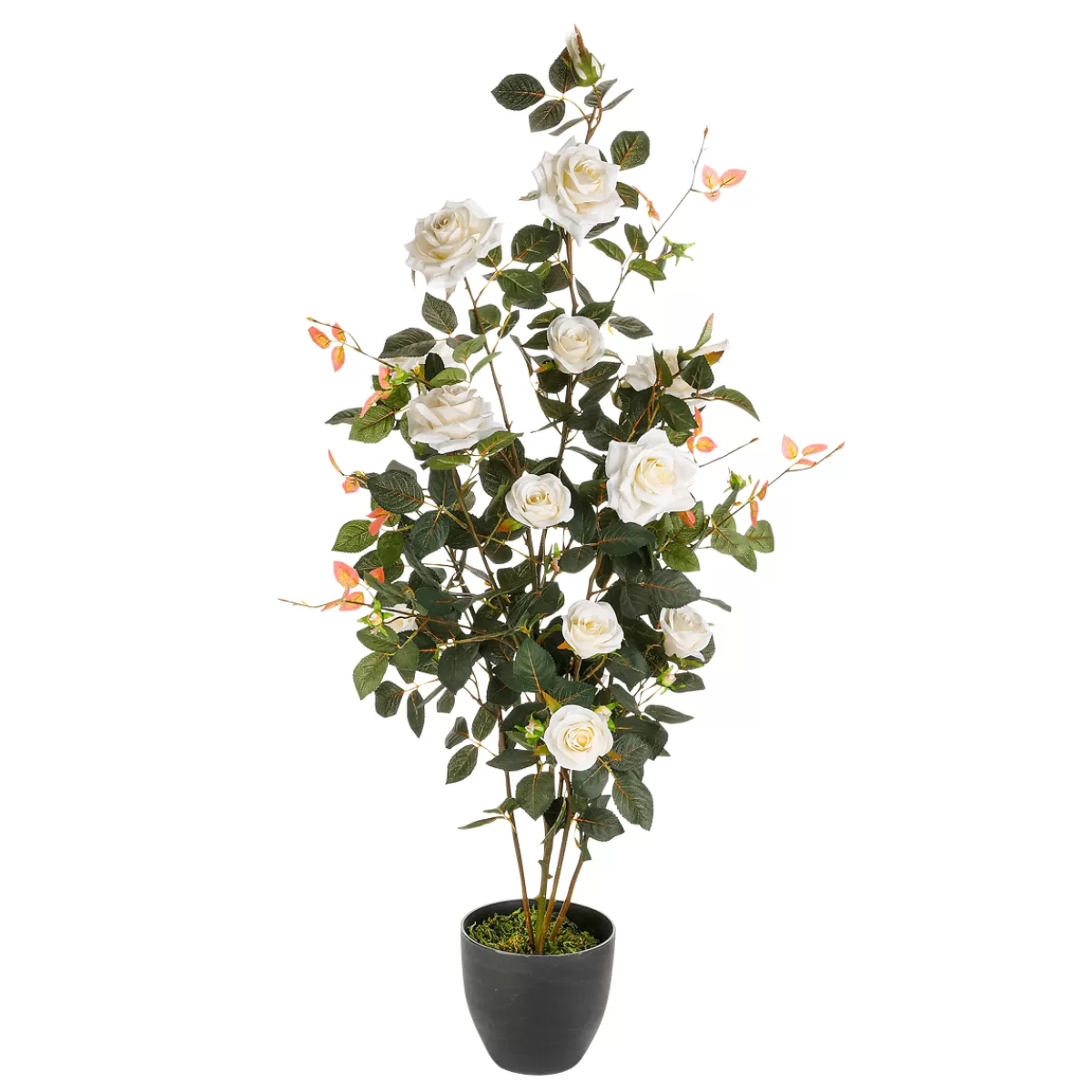 Flash Sale DecoWoerner Künstliche Rosenpflanze Im Topf 115 Cm weiß