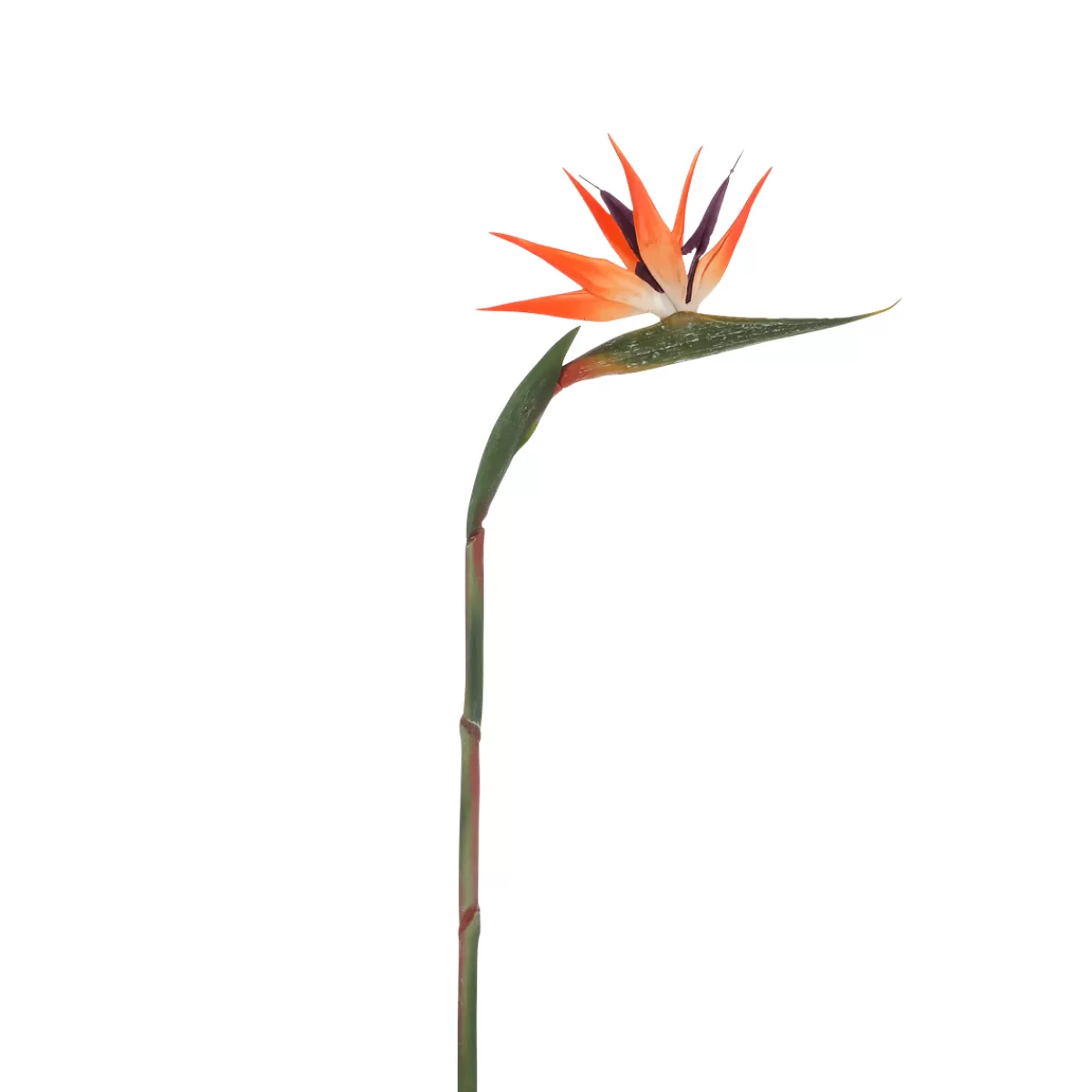 Cheap DecoWoerner Künstliche Strelitzien Paradiesvogel-Blume, 84 Cm orange