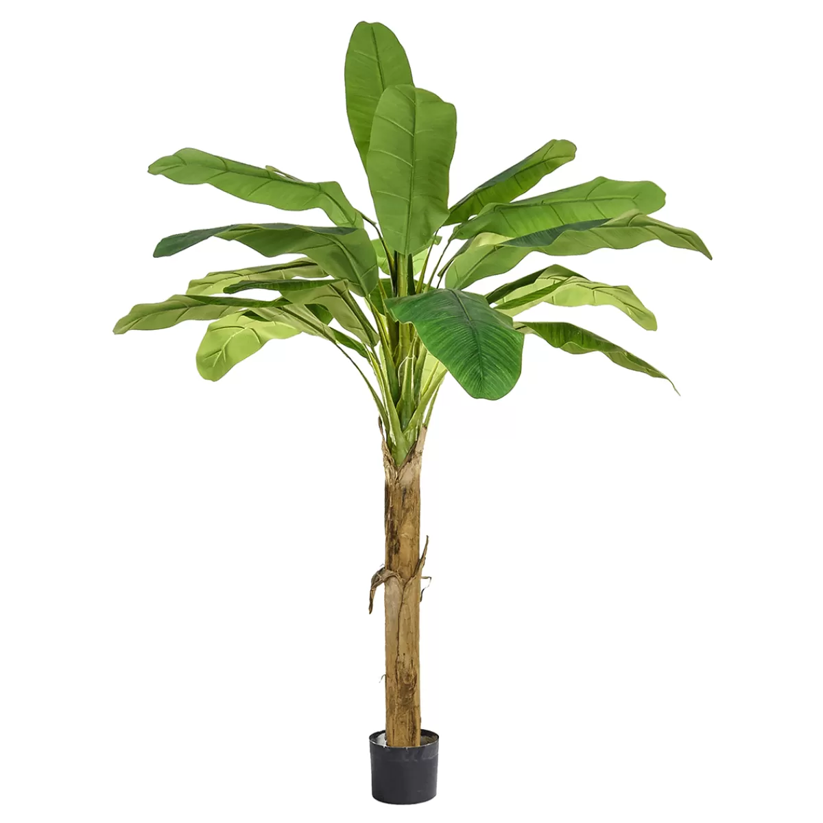 Cheap DecoWoerner Künstlicher Bananenbaum Im Topf B1, 105 Cm grün