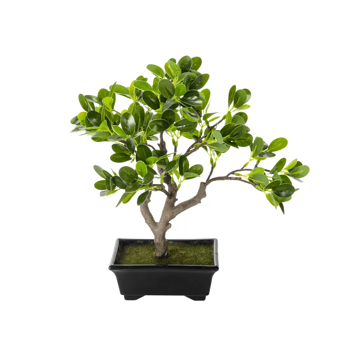 Store DecoWoerner Künstlicher Bonsai Pfennigblatt Eingetopft 34 Cm grün