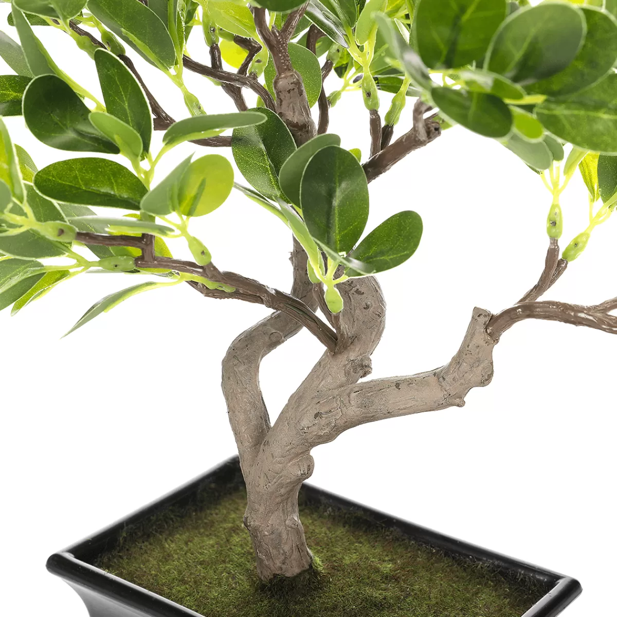 Store DecoWoerner Künstlicher Bonsai Pfennigblatt Eingetopft 34 Cm grün