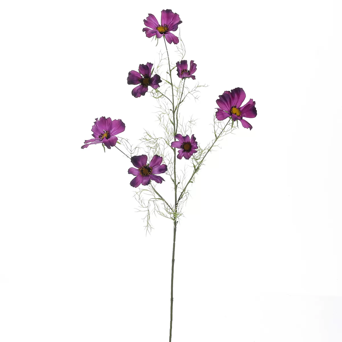 Shop DecoWoerner Künstlicher Cosmos Deko-Zweig Lila 90cm violett