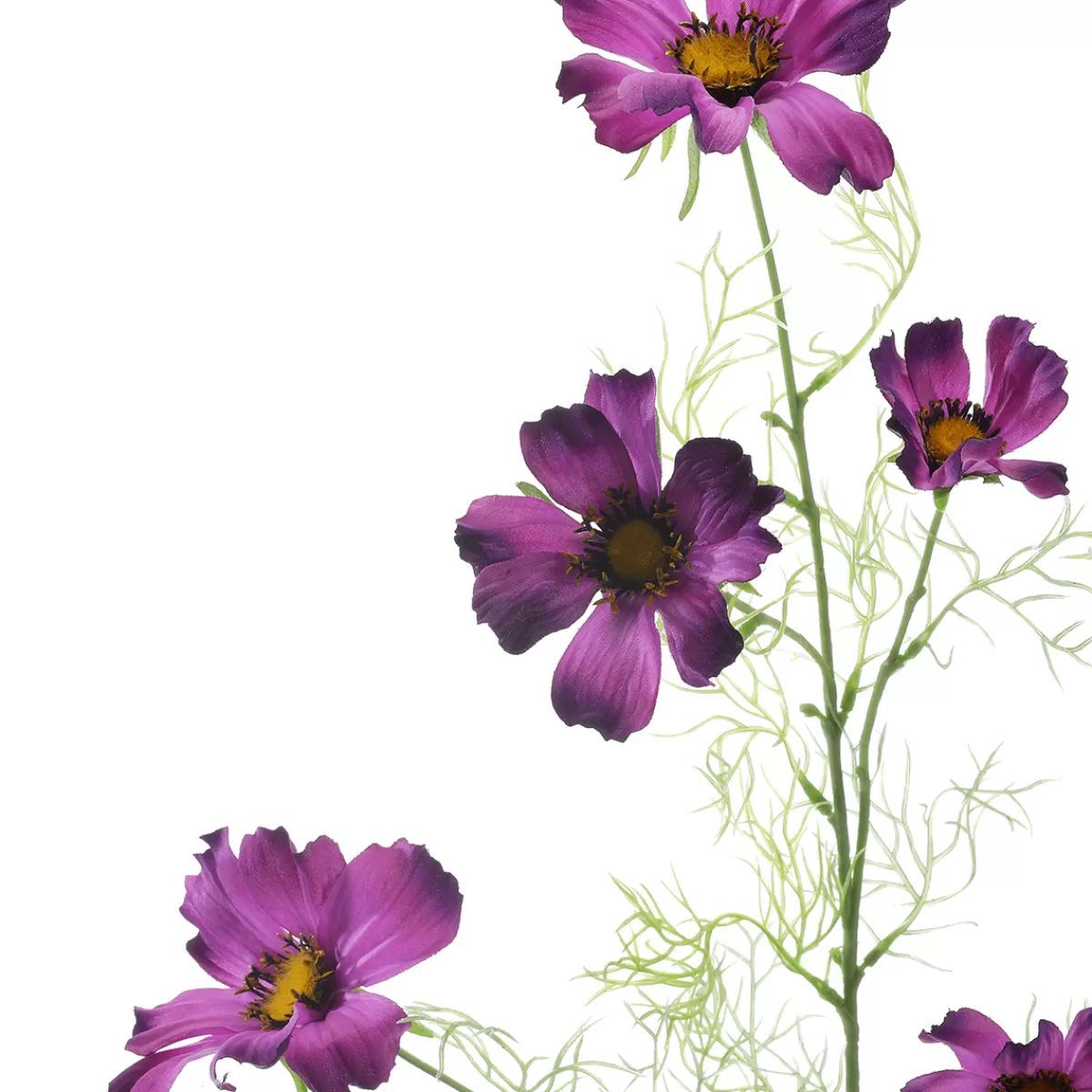 Shop DecoWoerner Künstlicher Cosmos Deko-Zweig Lila 90cm violett