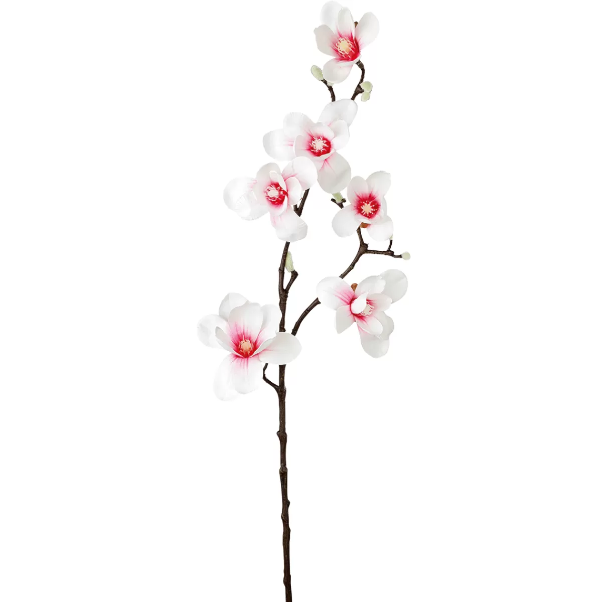 Sale DecoWoerner Künstlicher Edel-Magnolienzweig, Weiß/rosa, 100 Cm mehrfarbig