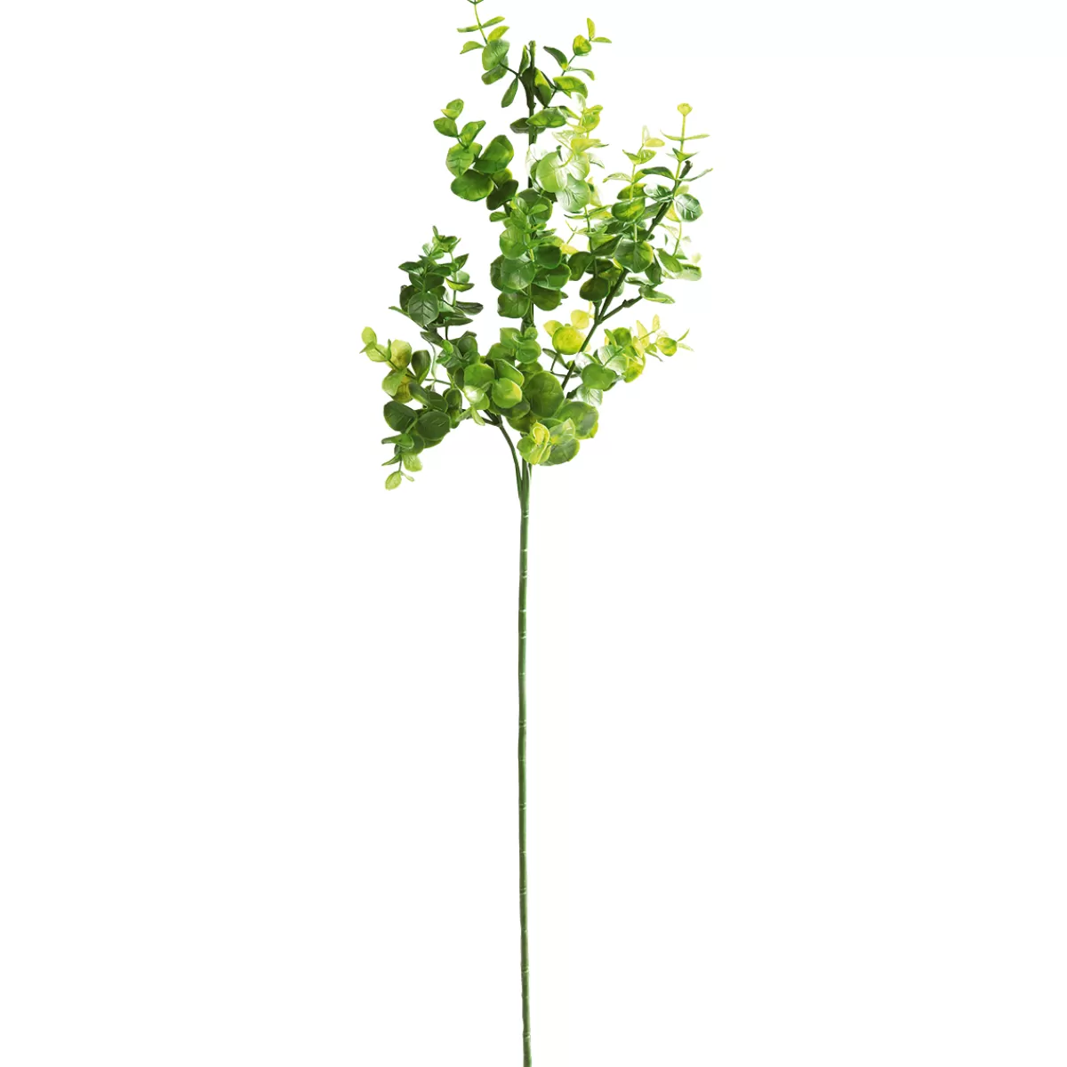 Cheap DecoWoerner Künstlicher Eukalyptus-Zweig 60 Cm grün