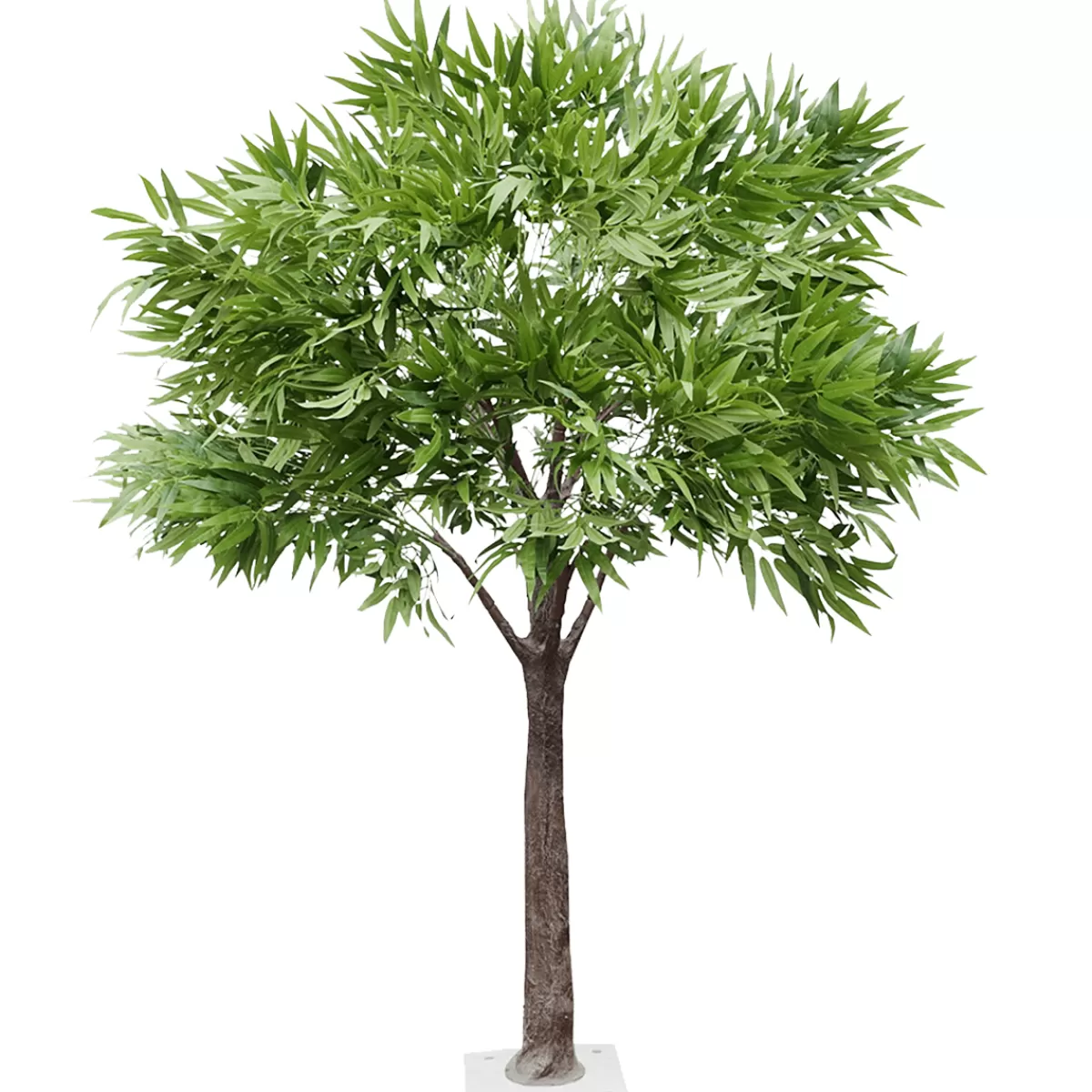 Outlet DecoWoerner Künstlicher Ficus Alii-Baum 170 Cm grün