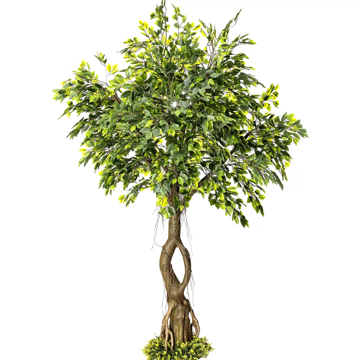 Shop DecoWoerner Künstlicher Ficusbaum Mit Standplatte 245 Cm grün