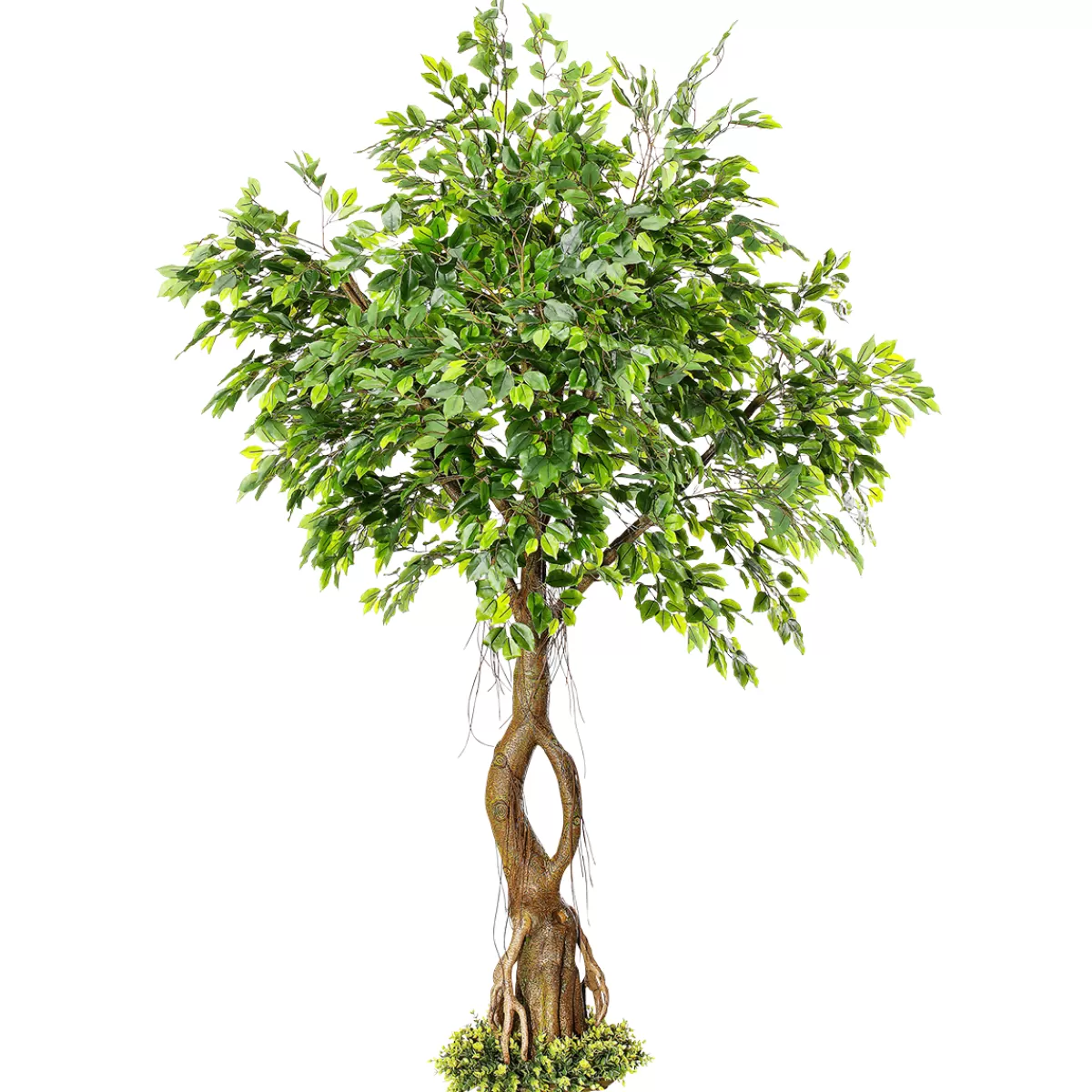 Shop DecoWoerner Künstlicher Ficusbaum Mit Standplatte 245 Cm grün