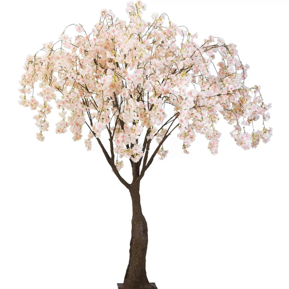 Online DecoWoerner Künstlicher Kirschblüten Baum Weiß - Rosè, 150 Cm rosa