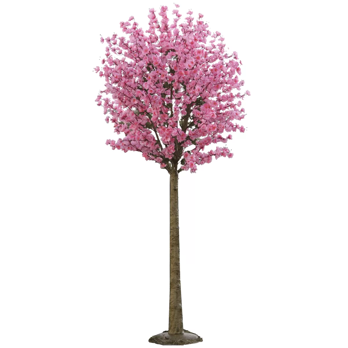 Cheap DecoWoerner Künstlicher Kirschblütenbaum In Zart Mit Standplatte 208 Cm rosa