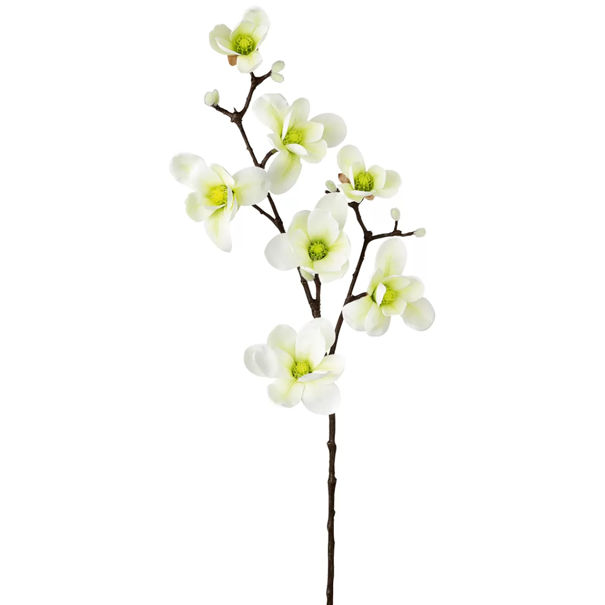 Best DecoWoerner Künstlicher Magnolienzweig, -grün, 100 Cm weiß