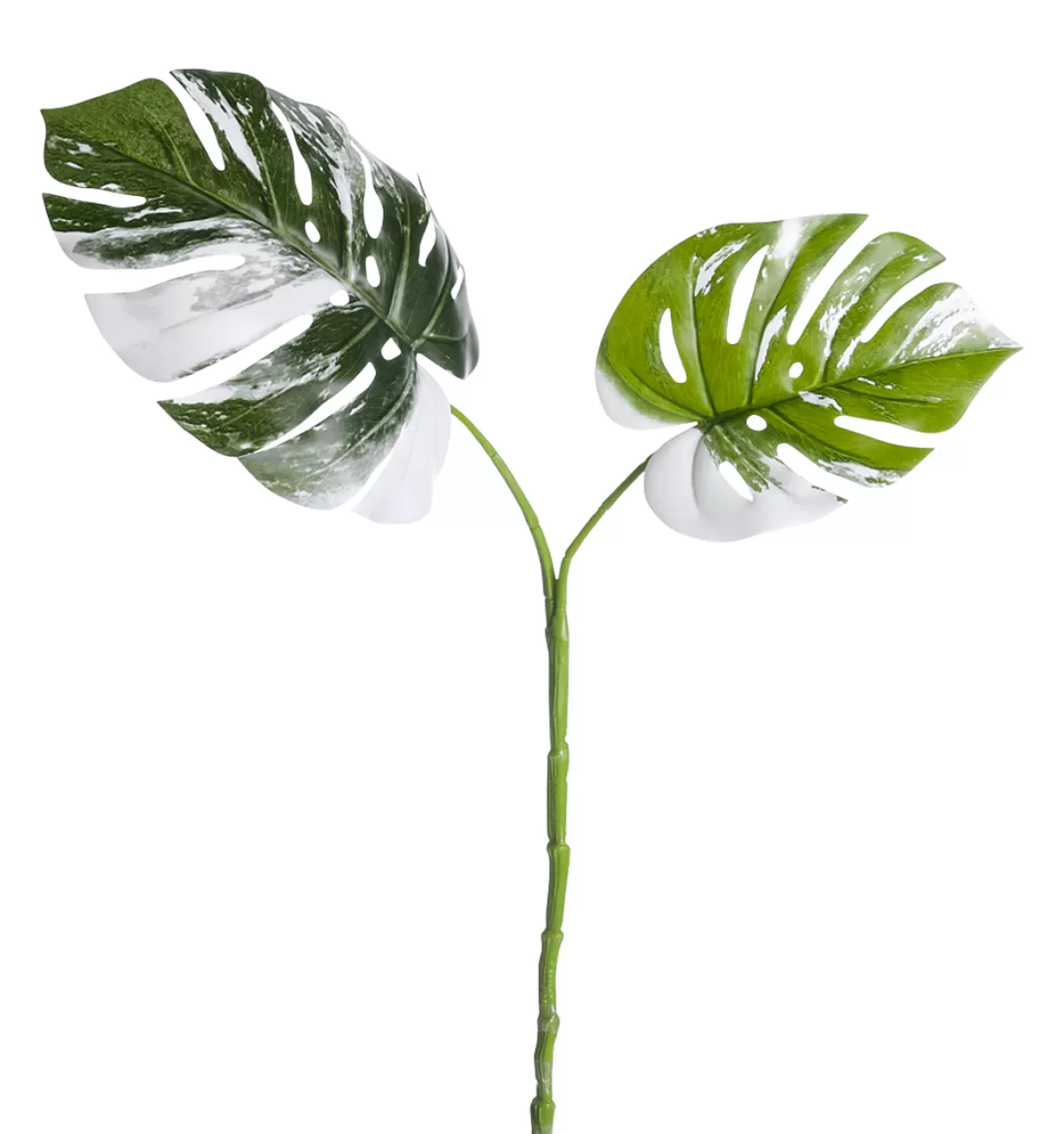 Best DecoWoerner Künstlicher Monstera Deliciosa Albo Variegata Blätter-Zweig 85 Cm grün