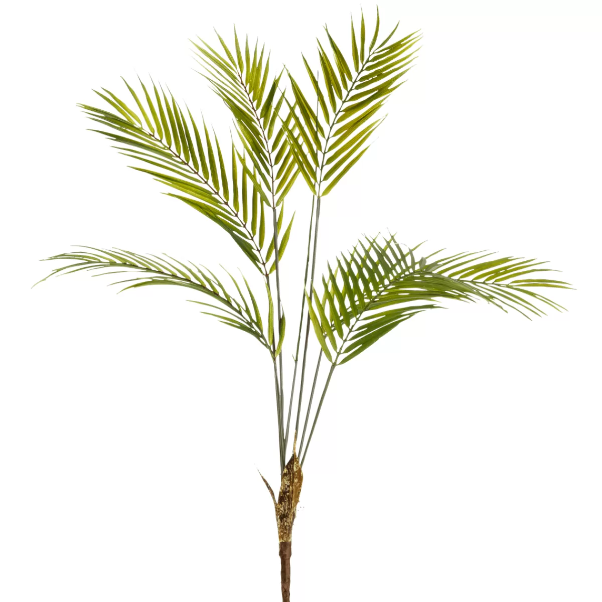 Shop DecoWoerner Künstlicher Palmbusch Palmwedeln-Busch 80 Cm grün