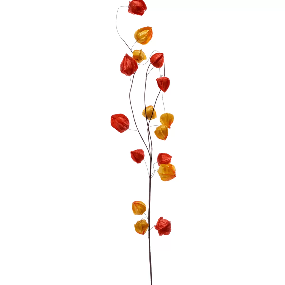 Shop DecoWoerner Künstlicher Physalis-Zweig, 80 Cm orange