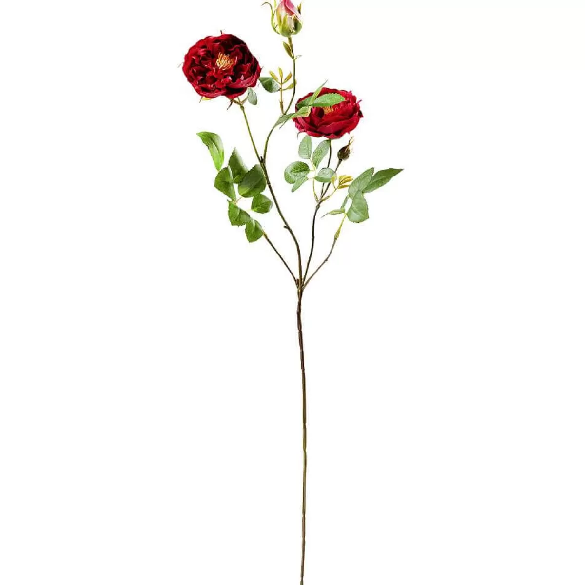 Cheap DecoWoerner Künstlicher Rosenzweig , 60 Cm rot