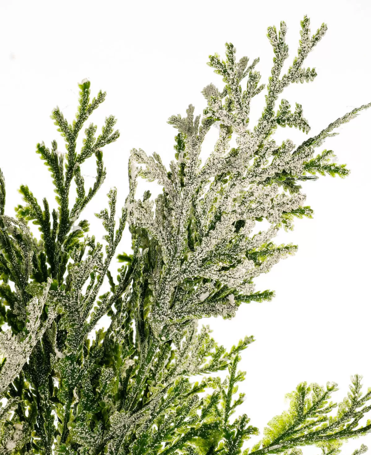 Best Sale DecoWoerner Künstlicher Thuja Zweig, 35 Cm grün