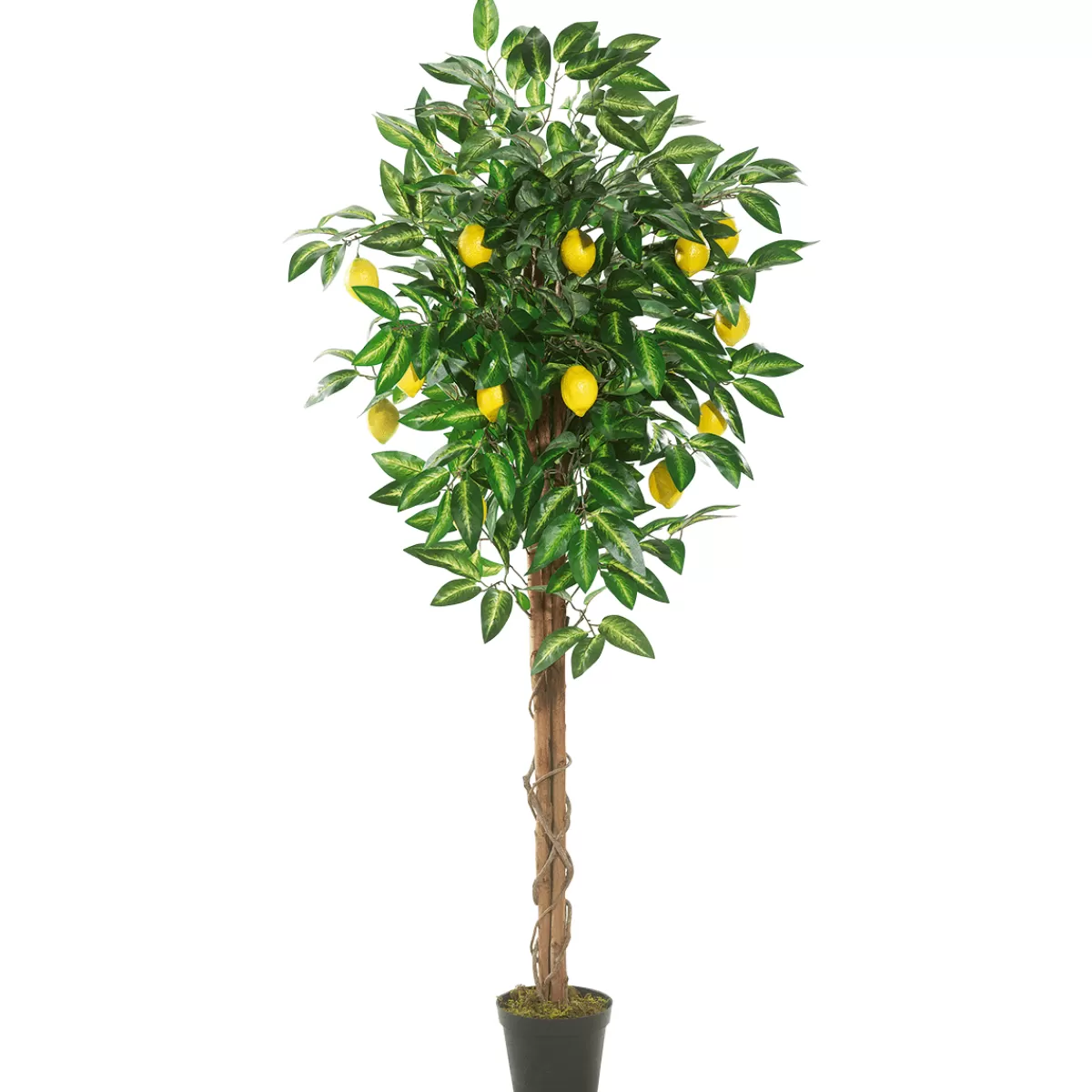 New DecoWoerner Künstlicher Zitronenbaum 180 Cm gelb