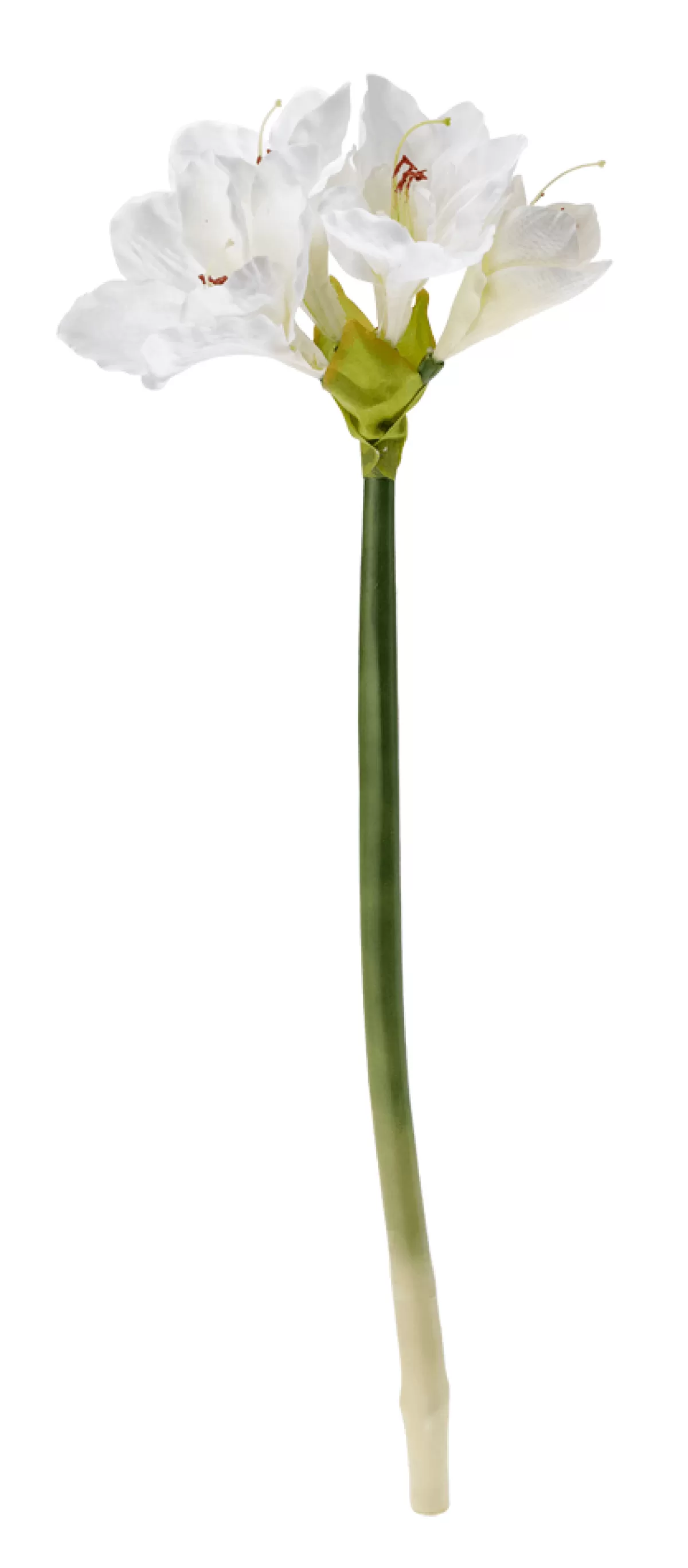 Hot DecoWoerner Kunstblume Amaryllis , 60 Cm weiß